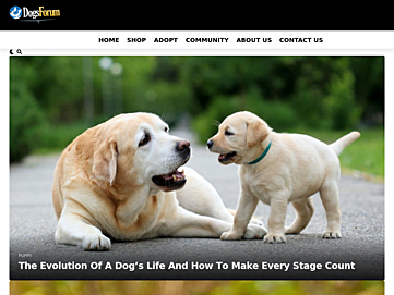 dogsforum.net