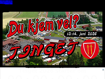 tinget.net