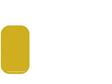 bombaycompany.com