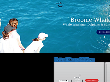 broomewhalewatching.com.au