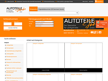 lenkgetriebe.net