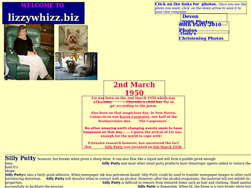 lizzywhizz.biz