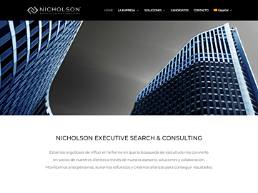 nicholsonexecutive.com