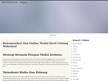 sdgmz.org