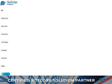 skybridgeinfotech.com