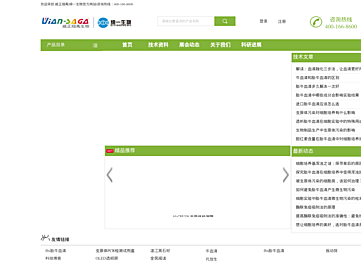viansaga.com