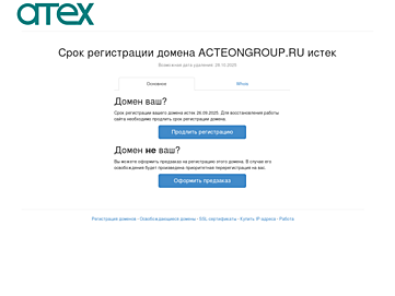 Screenshot of acteongroup.ru