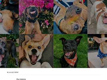 Screenshot of awishforanimals.org