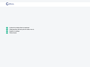 Screenshot of callisto-group.fr