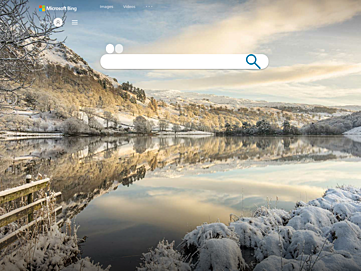 Screenshot of cn.bing.com