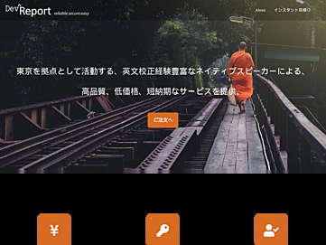 Screenshot of dev-report.org