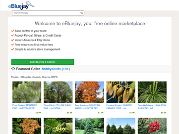 Screenshot of faithcreations.blujay.com