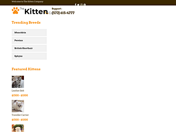 Screenshot of incasestudio.com