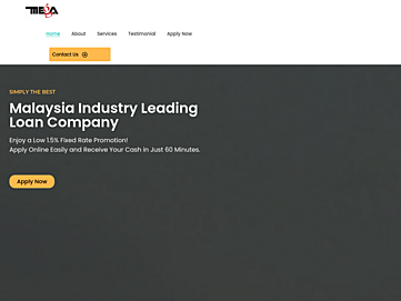 Screenshot of mega-loan.com