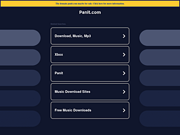 Screenshot of panit.com