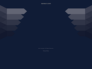 Screenshot of sanaur.com