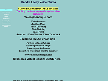 Screenshot of sandralaceyvoice.com