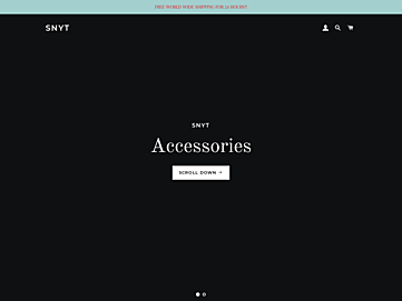 Screenshot of snytstore.com