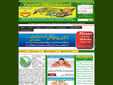 Screenshot of taseerlabs.com