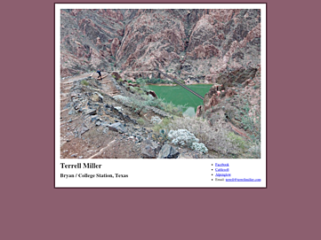 Screenshot of terrellmiller.com