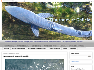 Screenshot of tiburonesengalicia.blogspot.com.es
