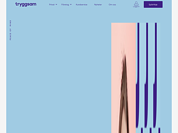 Screenshot of tryggsam.se