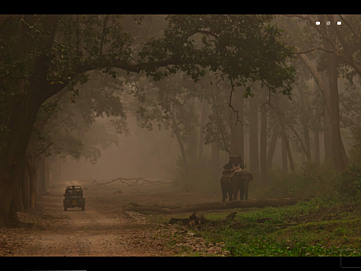 Screenshot of wildlifetrail.in